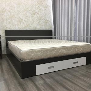 GIƯỜNG 1M6X2M GỖ MDF CHỐNG ẨM TẠI TÂN PHÚ HCM